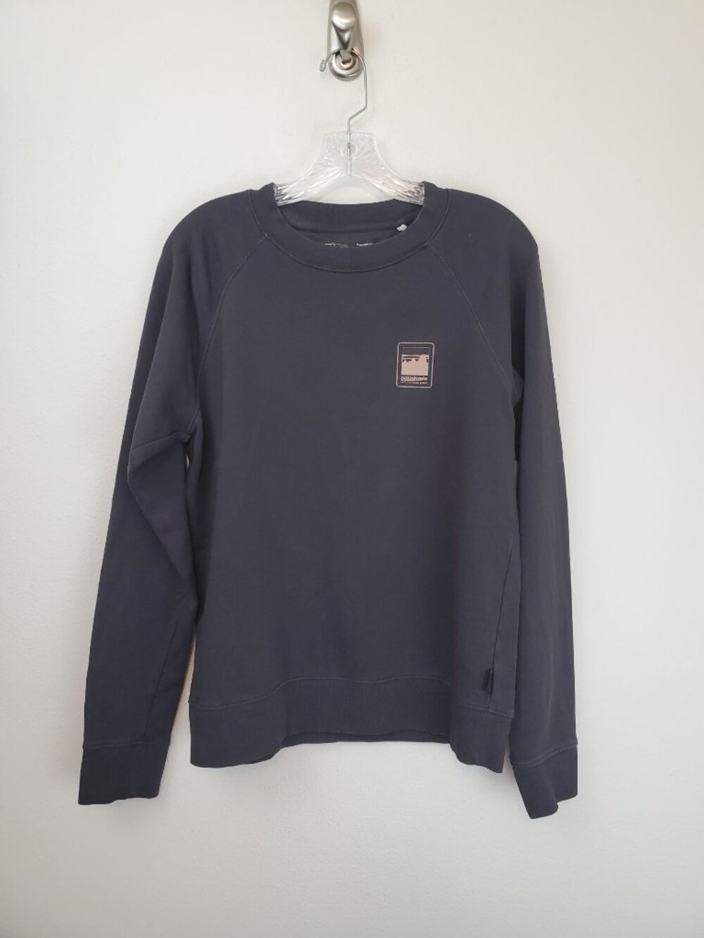 Patagonia Alpine Icon Regenerative Organic Certified Pilot Cotton sweatshirt